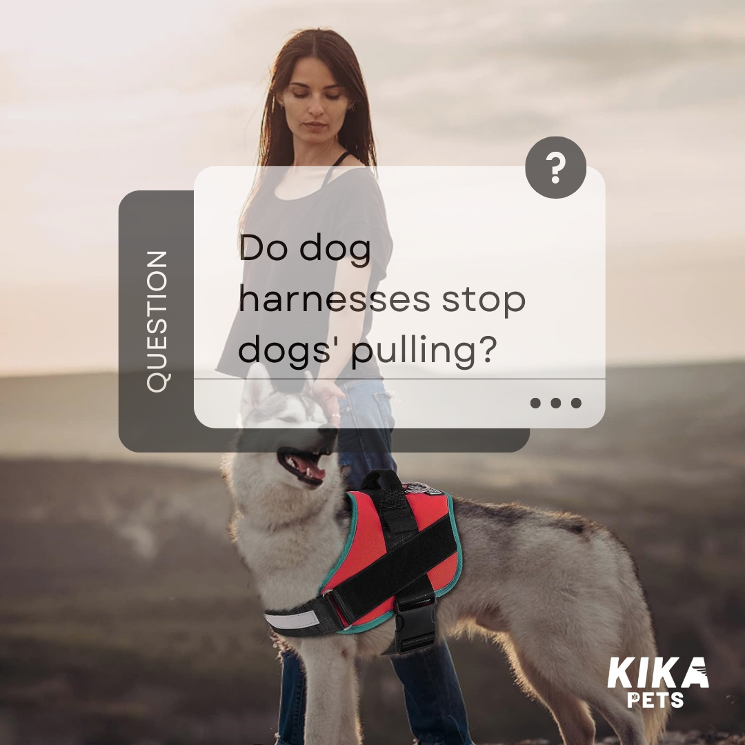 Do dog harnesses stop dogs pulling Blogs KIKA Pets