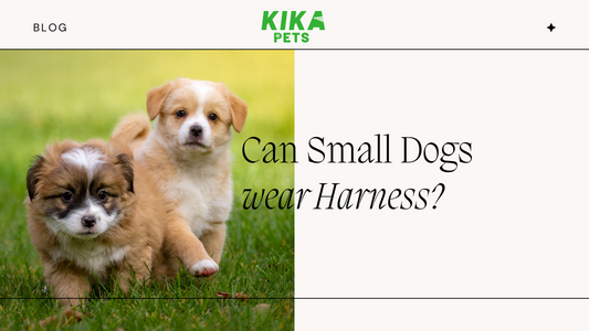 small dog harness - KIKA PETS