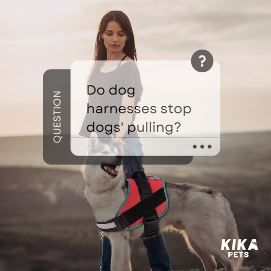 Do dog harnesses stop dogs pulling?
