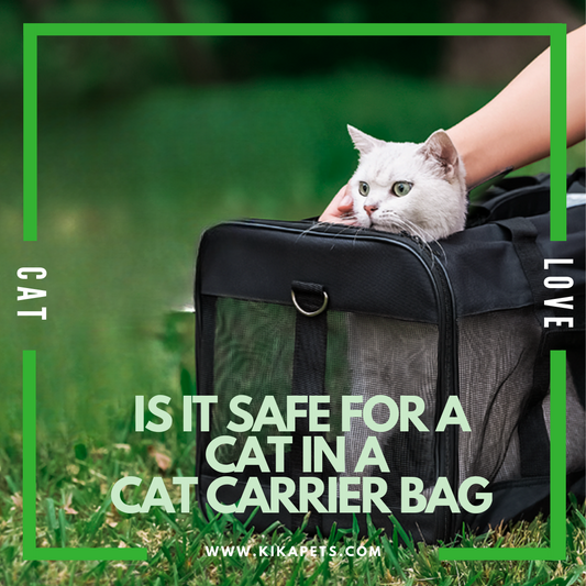 Is it safe to carry a cat in a cat carrier bag?