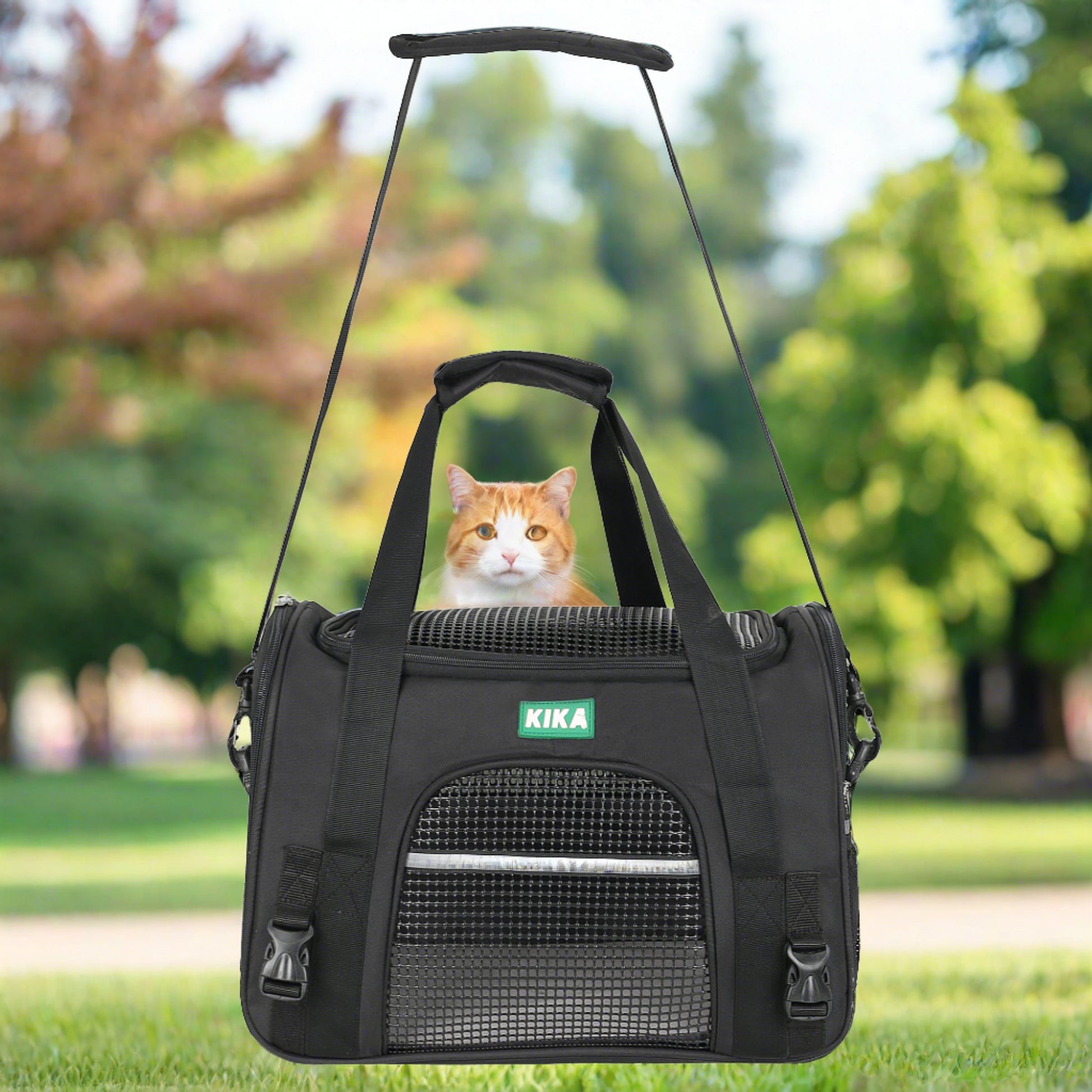 cat carrier bag in a park kika pets