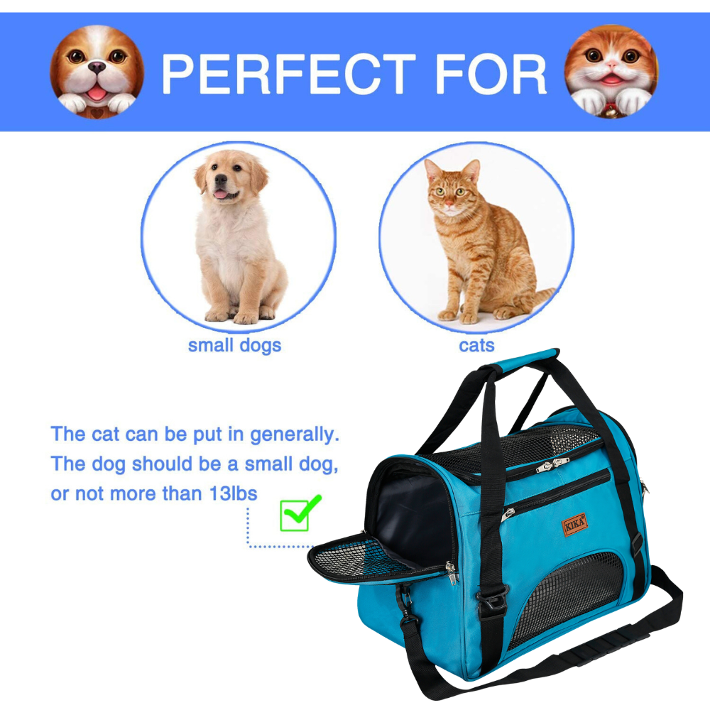 cat and small dog carrier bag