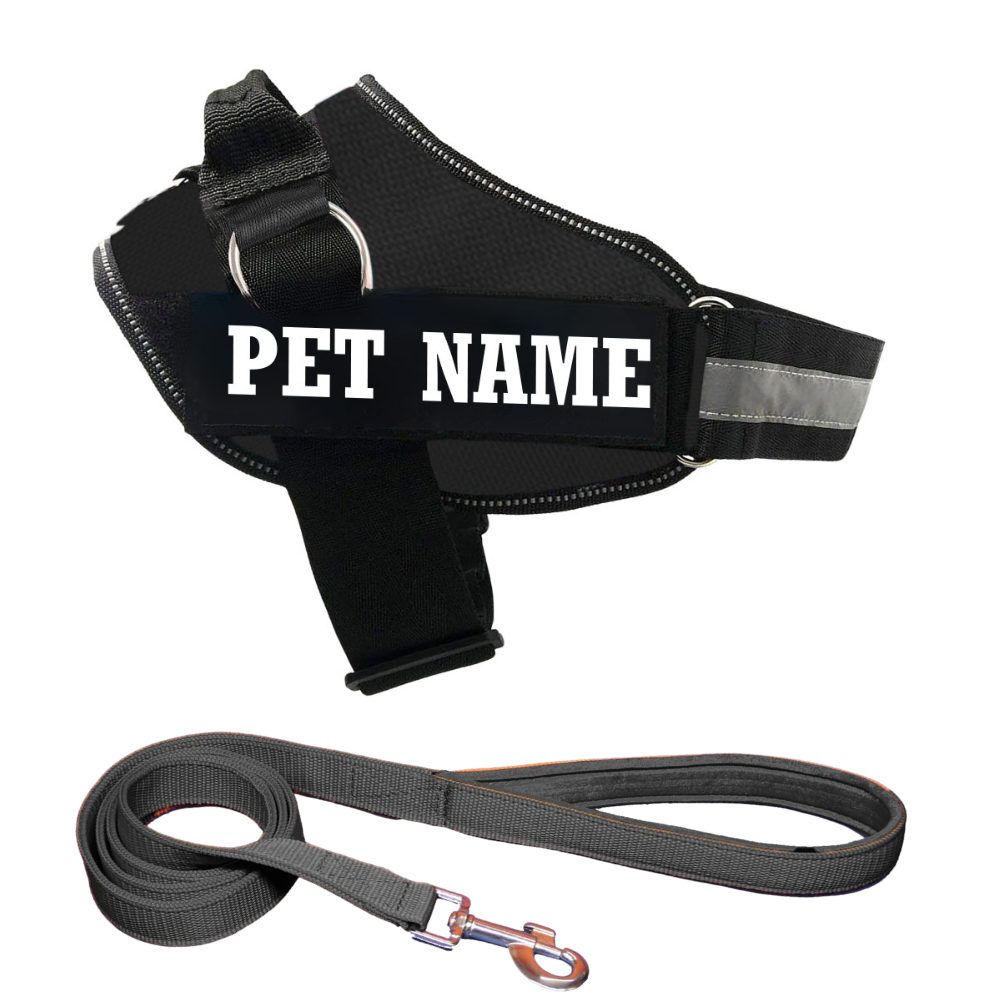 Personalized Dog Harness | Dog Harness With Name | KIKA PETS