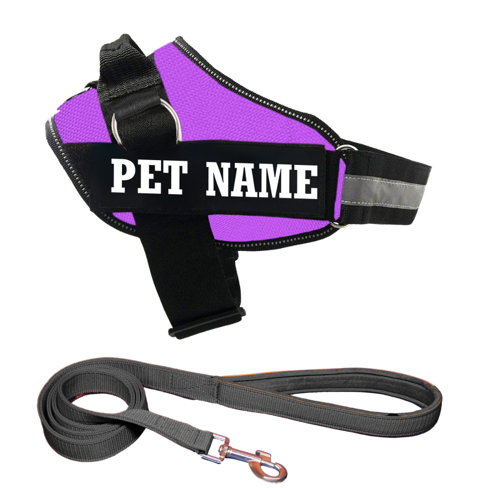 Personalized Dog Harness | Dog Harness With Name | KIKA PETS