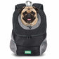 KIKA Pets Head-Out dog backpack carrier, size L, with Pug