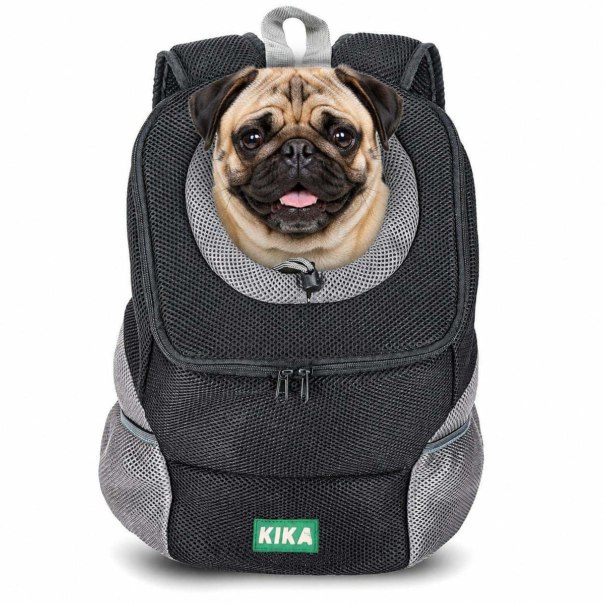 KIKA Pets Head-Out dog backpack carrier, size L, with Pug
