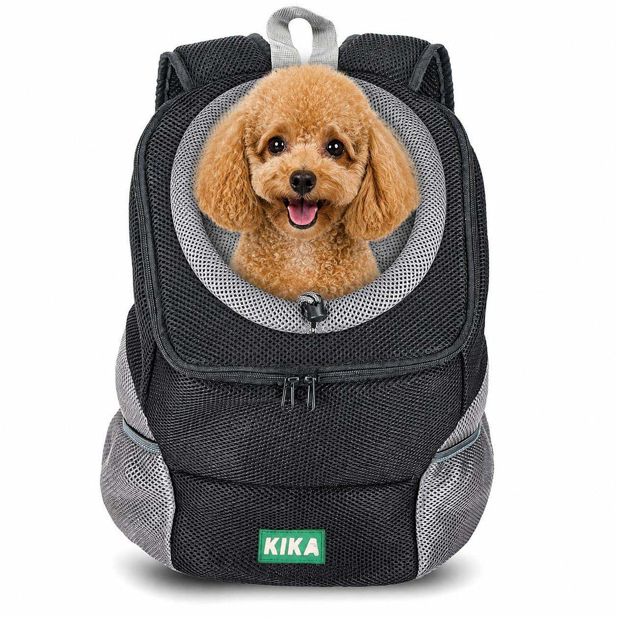 KIKA Pets Head-Out dog backpack carrier, size M, with Toy Poodle