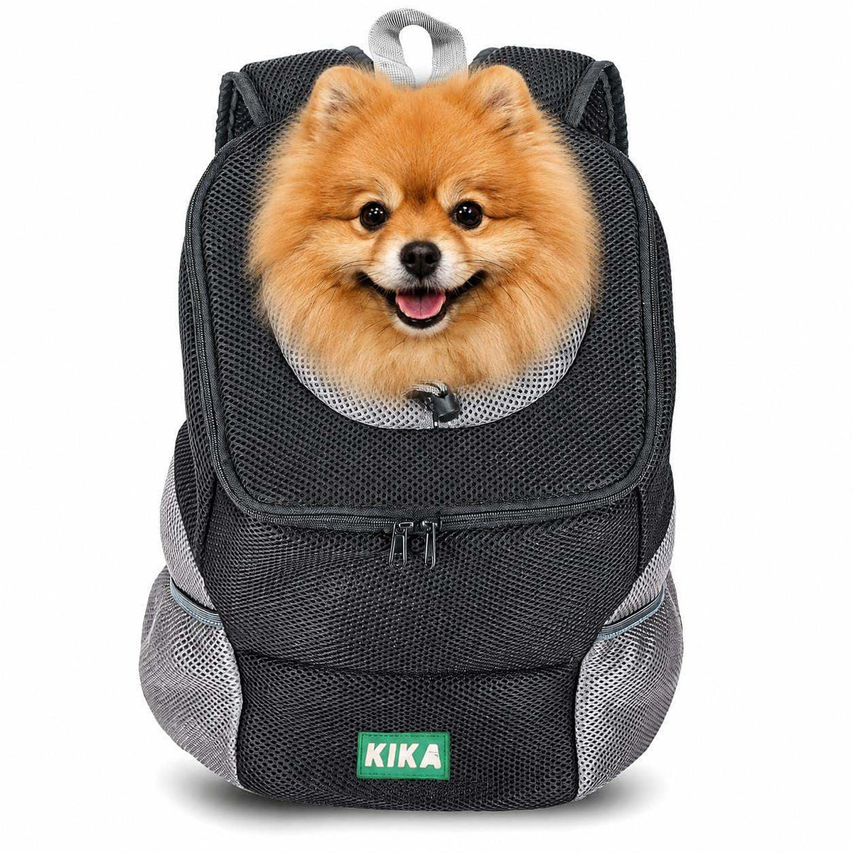 KIKA Pets Head-Out dog backpack carrier, size S, with Pomeranian