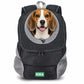 KIKA Pets Head-Out dog backpack carrier, size XXL, with Beagle