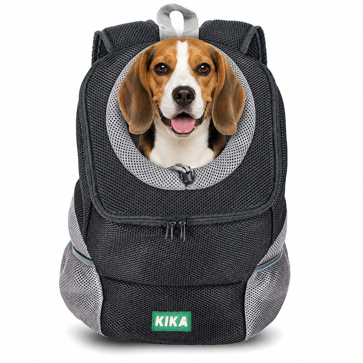KIKA Pets Head-Out dog backpack carrier, size XXL, with Beagle