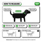 How to measure your dog's back length from collar to base of tail