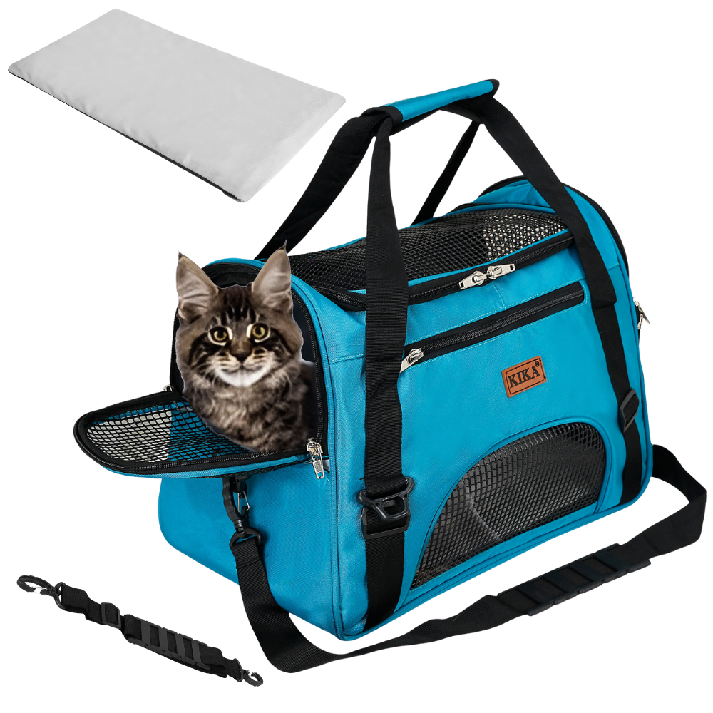 Best pet airline carrier hotsell