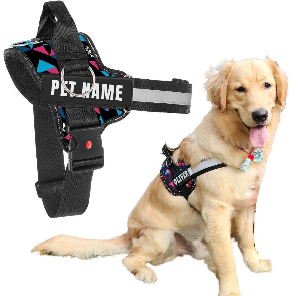 Personalized Dog Harness | Dog Harness With Name | KIKA PETS