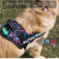 KIKA Pets Name Tag for Dog Harness, Pet Carrier Bags with Velcro Backing, (Pack of 2 pcs)