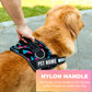 Personalized Dog Harness | Dog Harness With Name | KIKA PETS