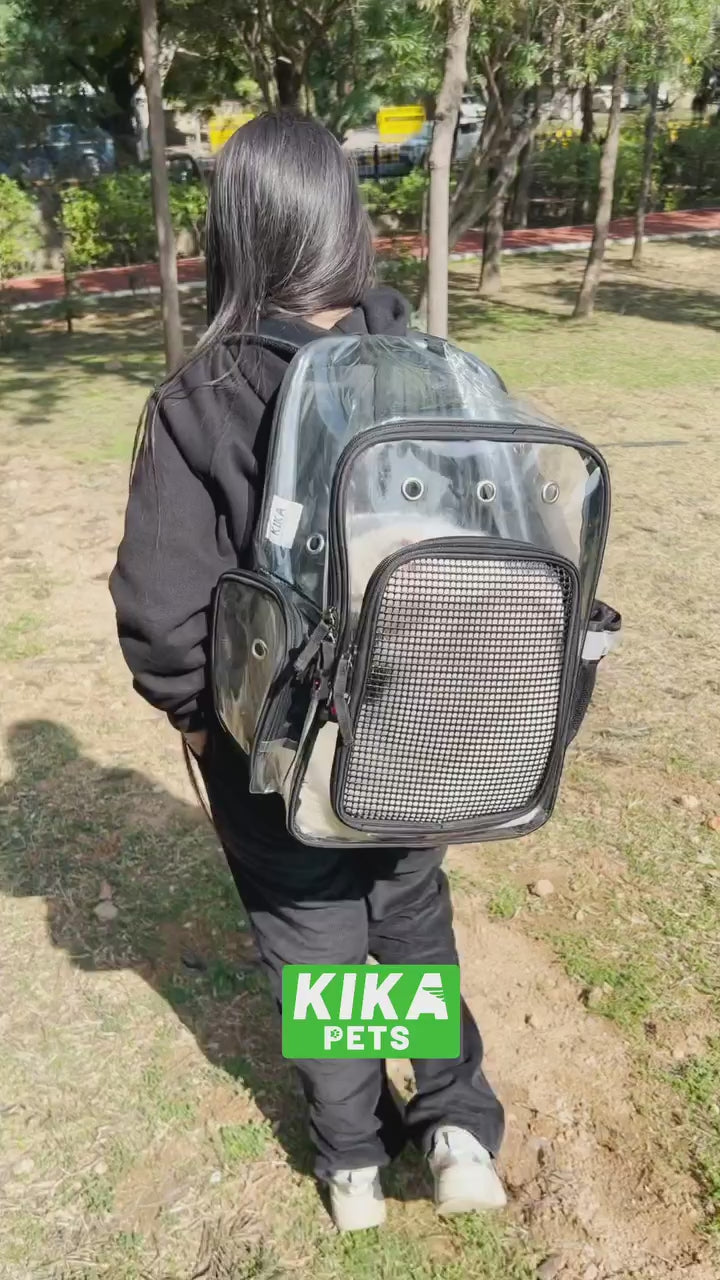 KIKA Pets CLEAR dog cat backpack carrier being carried by a model outdoors in a park, restaurant with showing cat in the bag