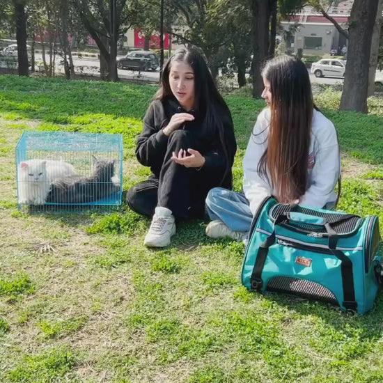 KIKA Pets AIRLINE Cat Carrier Bag, video showing soft sided carrier bag is better than a cat cage