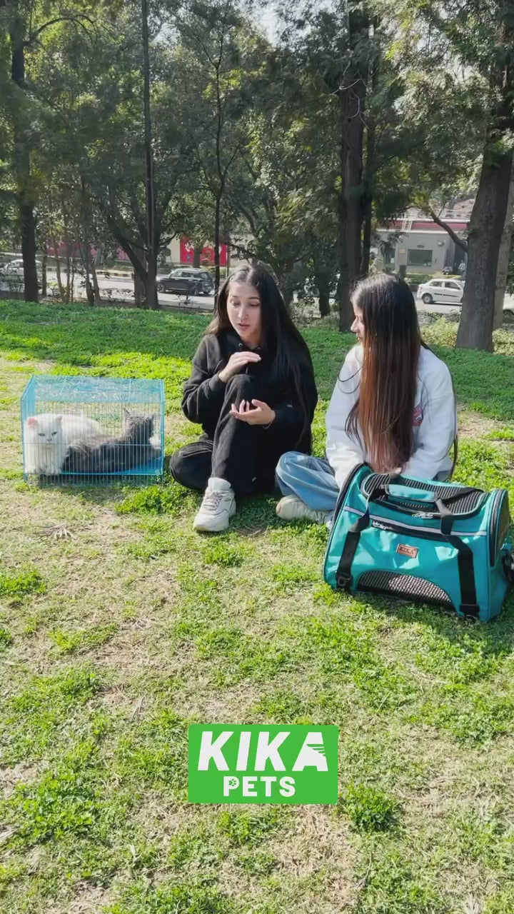 KIKA Pets AIRLINE Cat Carrier Bag, video showing soft sided carrier bag is better than a cat cage