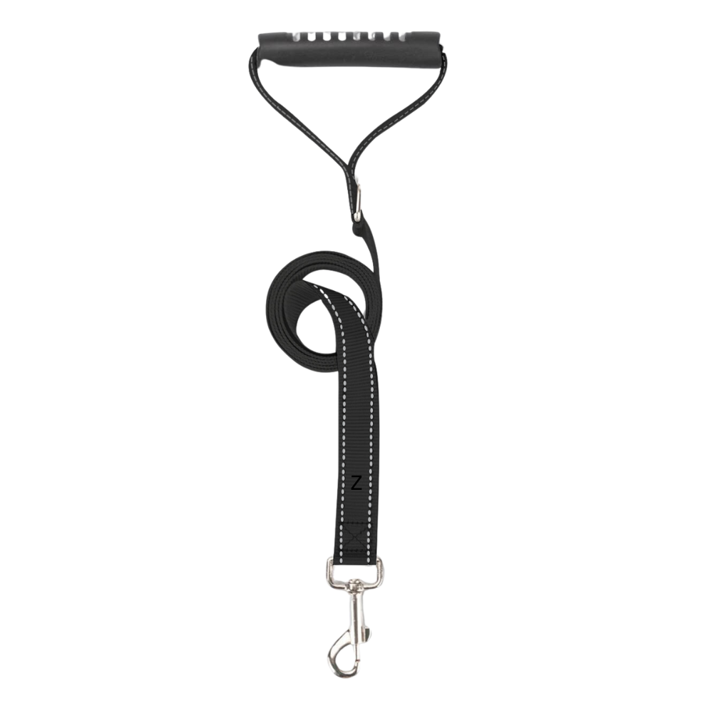 Muscle Dog Leash