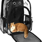 KIKA Pets CLEAR dog cat backpack carrier showing cat inside the bag