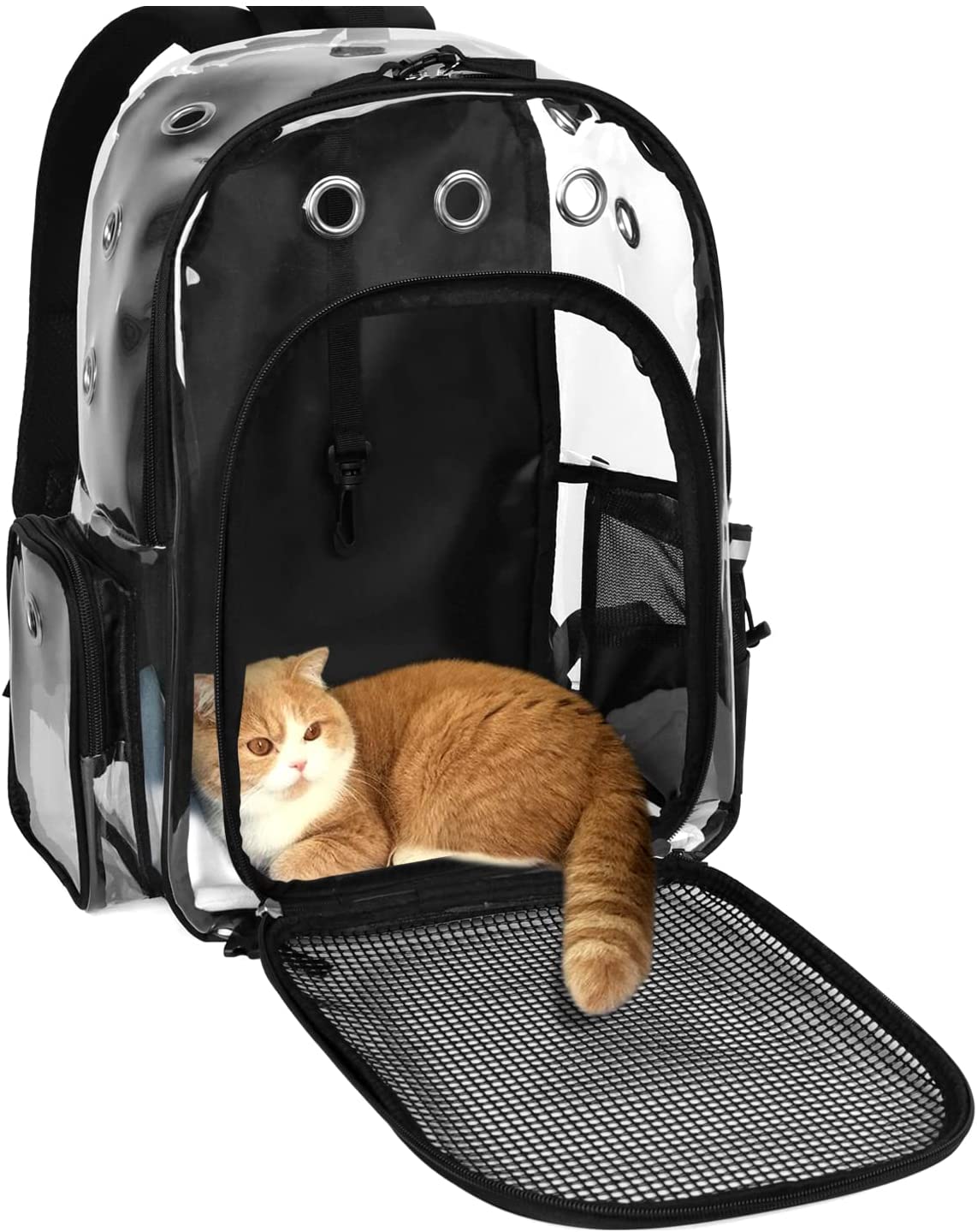 KIKA Pets CLEAR dog cat backpack carrier showing cat inside the bag