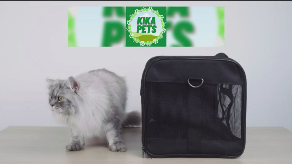 KIKA Pets SPRINGFRAME cat carrier bag video showing its features with a cat also inside the bag